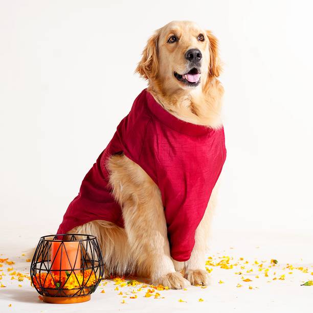 Barks & Wags Costume for Dog