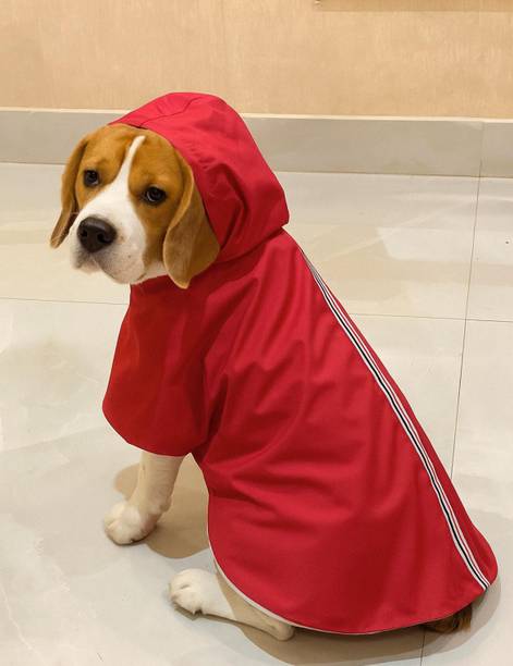 PET SNUGS Raincoat for Dog
