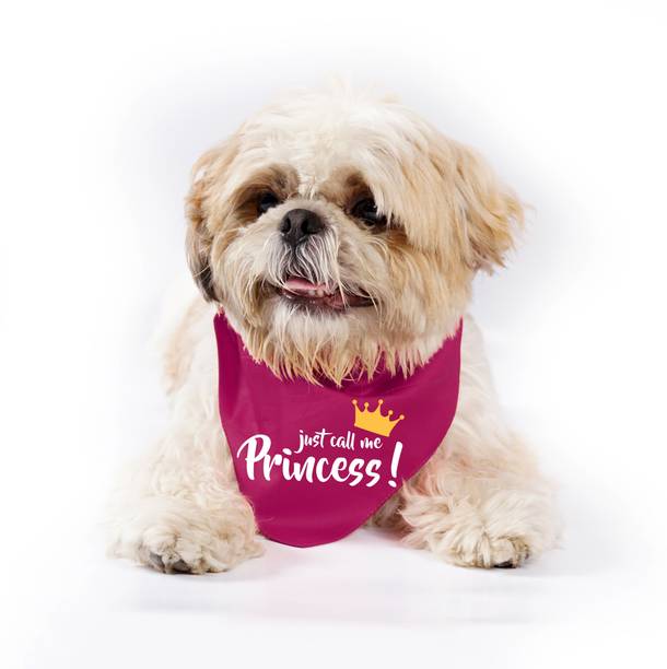 LIMIT Fashion Store Bib for Dog, Cat, Monkey