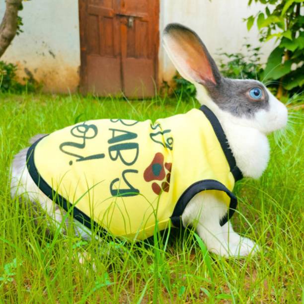 Lulala T-shirt for Rabbit