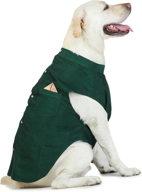 Barks & Wags Dress for Dog