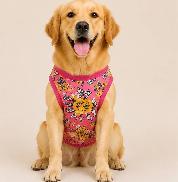 Baeship studio T-shirt for Dog