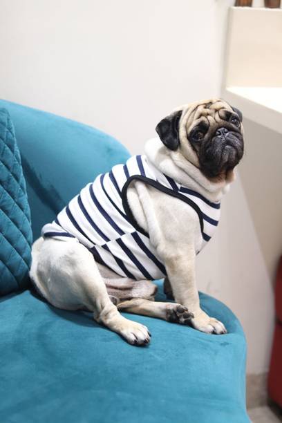 Baeship T-shirt for Dog