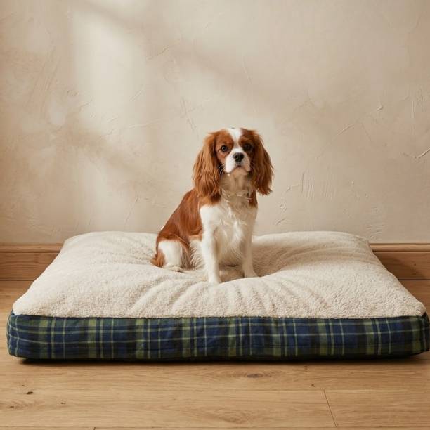 PAWPOURRI Dogs & Cats Premium Ultra Soft and Warm S Pet Bed