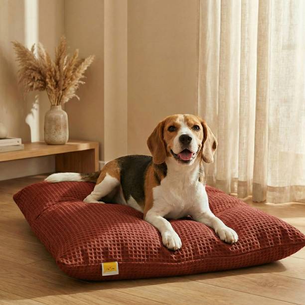 SleepyCat Original Splash Resistant L Pet Bed