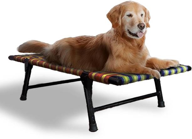 Cane Arts Medium Elevated Dog Bed – Sturdy 3x2 ft Metal Frame Pet Cot M Pet Bed