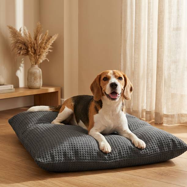SleepyCat Original Dog and Cat M Pet Bed