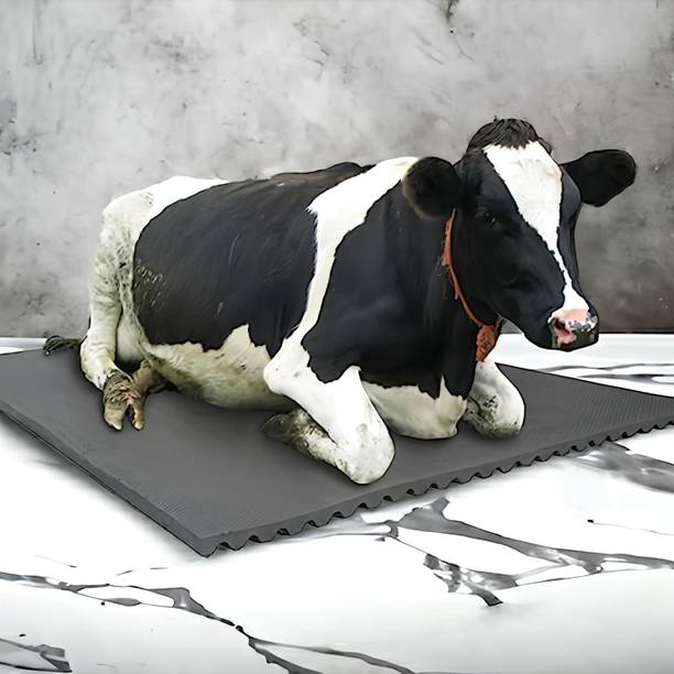 chirag Waterproof Rubber mat 8×5 feet Cow, Buffalo and Bull Easy to Clean, (Black) XXL Pet Bed