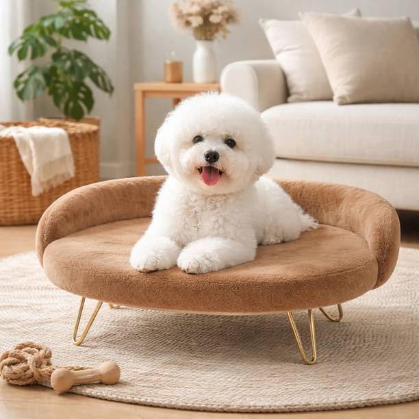 AURALIVIN Pet bad Gold Metal Legs Sofa Style for Cats & Dogs Medium(53 x 65 x 25 cm) M Pet Bed