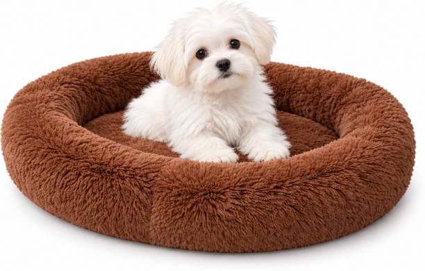 BanCveda Ultra Soft Microfiber Filled Pet Bed for Small Puppies & Cats (60 x 40 x 10 cm) S Pet Bed