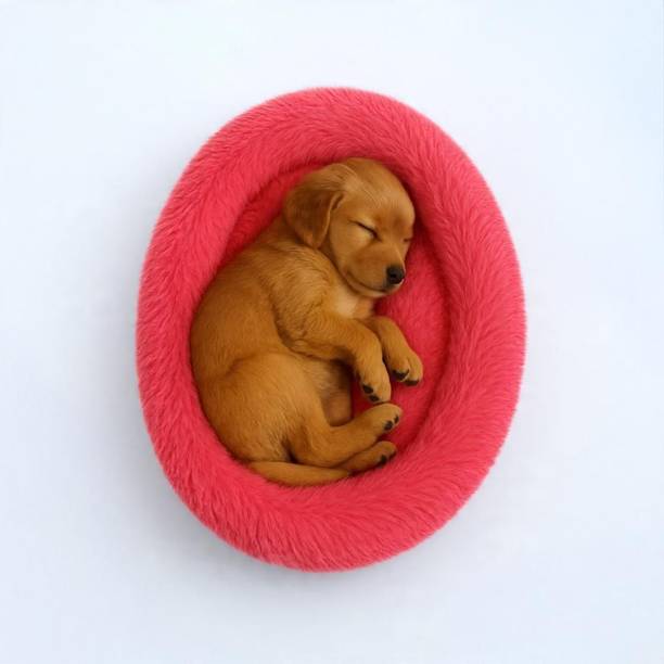 Stuffiva PBOVAS S Pet Bed