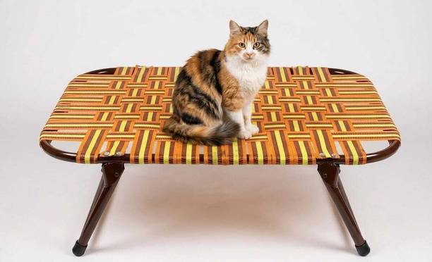 BCF Metal Single Bed, 90 cm x 60 cm (2.95 ft x 1.97 ft)