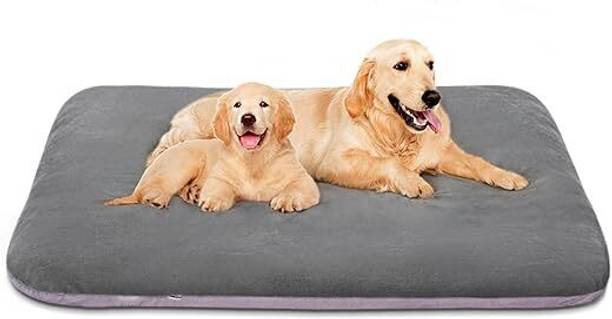 BLESSING PET PRODUCT MAGIC DOG BED XL Pet Bed