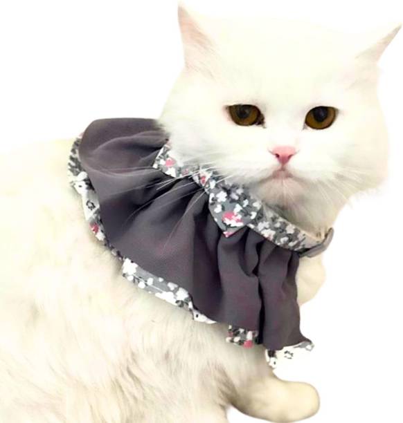 Emily Pets Dog & Cat Everyday Collar