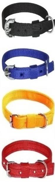 G T L Enterprises GTL Pets Dog & Cat Everyday Collar