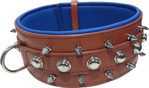 shagul shagul dog leather collar adjustable size 46-56 color black and ten avail