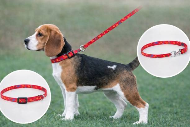 DXJIYAWORLD puppy collar leash Dog Collar & Leash