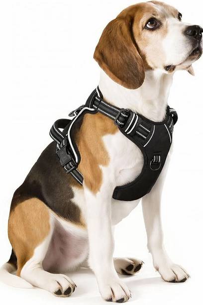 Cocker Dog Buckle Harness