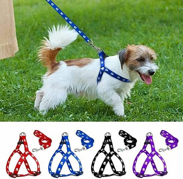 chullbull pet products 1 pcs 15 mm Paw Print Leash and Harness Set for Small ,Medium Puppy Dog & Cat Harness & Leash