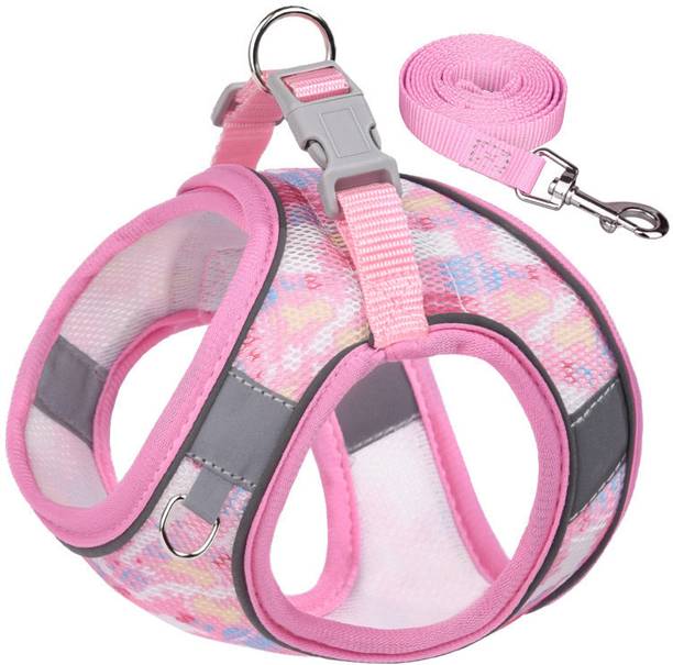 KUTKUT Small Dogs and Cat Harness and Leash Set Dog & Cat Harness & Leash