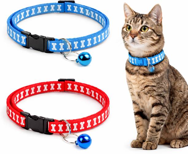 PETRA Dog & Cat Everyday Collar
