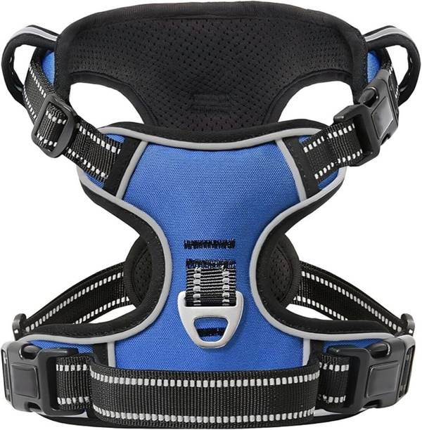 Cocker Double Sided Blue S Dog Harness & Leash