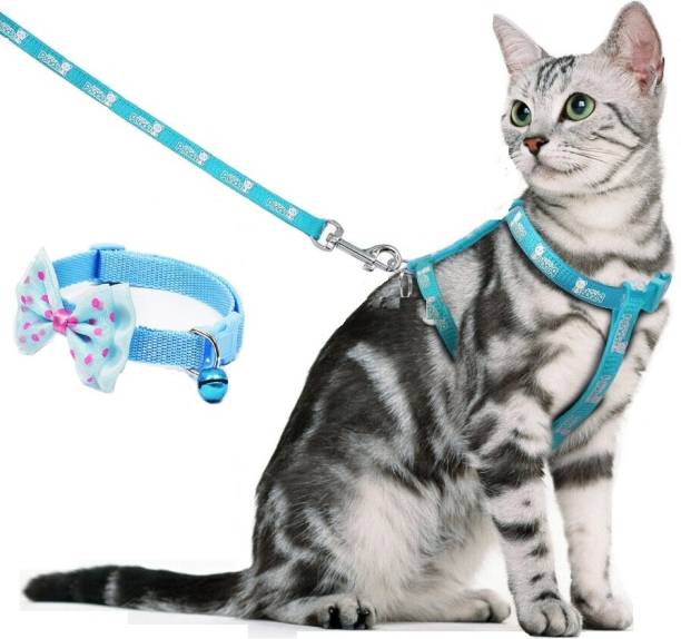 Hachiko Combo Set Cat Collar Cute Bow Tie Bell + Harness Leash Set Adjustable Cat Everyday Collar
