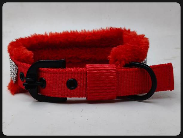 Daviloss Paws Dog & Cat Everyday Collar