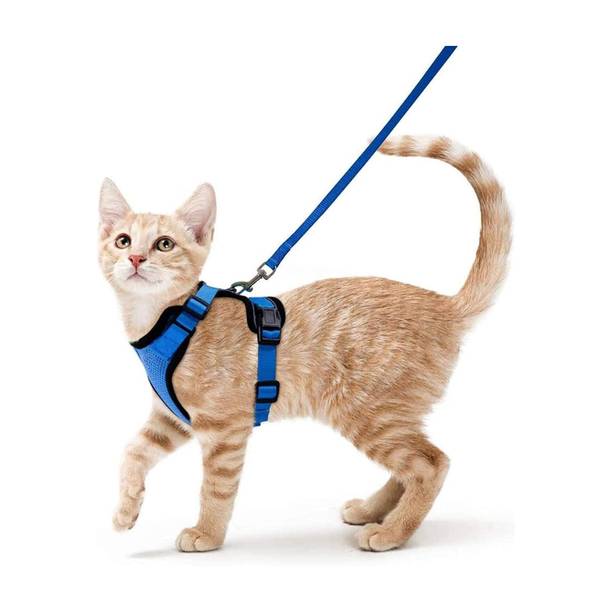 Berlin's Escape Proof No Pull Cat Harness with Leash for Outdoor, Walking Cat Harness Cat Harness & Leash