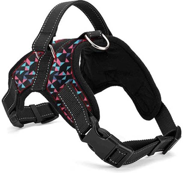Cocker Dog & Cat Harness & Leash