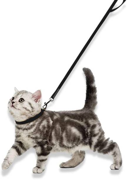 Buraq Collar and Leash Set , Adjustable Collar Leash with Bell Cat Collar & Leash