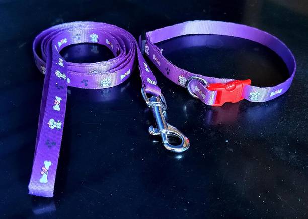 FONDLE Dog & Cat Collar & Leash