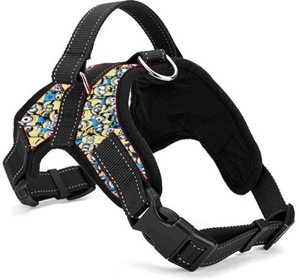 PETSPOPULAR Dog Collar & Leash