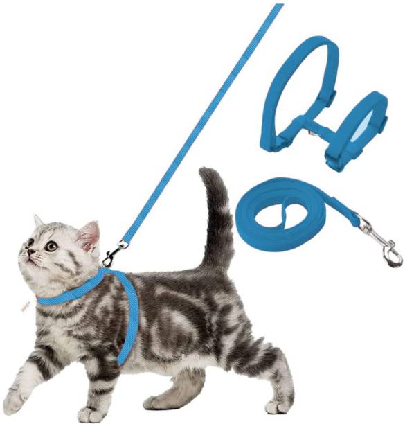 Buraq Cat Buckle Harness