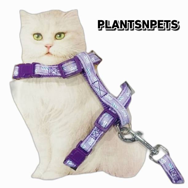 PLANTSNPETS Dog & Cat Harness & Chain