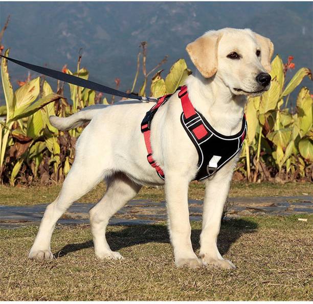 Berlin's Adjustable Chest Belt Harness |Reflective Comfortable No-Pull Pet Safety Harness Dog Buckle Harness
