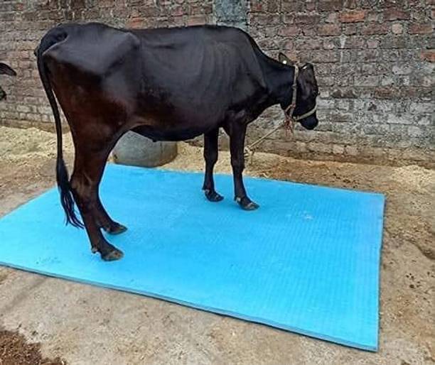BOVEX Cow & Buffalo Mat | Non-Toxic, Waterproof, Easy Clean, Blue Cow Pet Mat