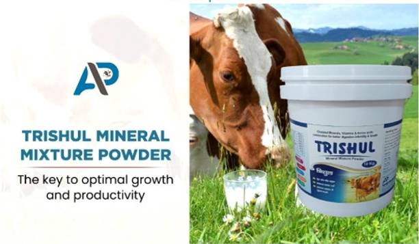 Aurous Chelated Mineral Mixture in Triple Strength For Cow, Buffalo & Farm Animals Pet Health Supplements