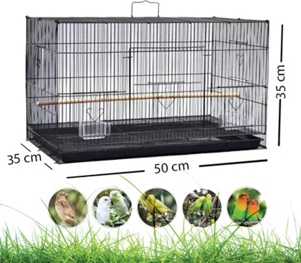Photo inspiration: Visual Reference: Bird Cages Buy Bird Cages Online At Best Prices In