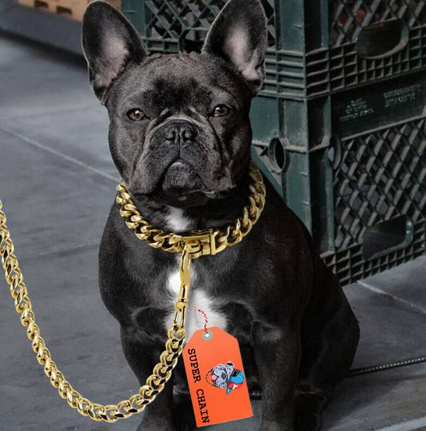 SUPER CHAIN GOLD Heavy Weight Diamond Cut Heavy Duty (MEDIUM) Dog Gold Chain 160 cm Dog Chain Leash
