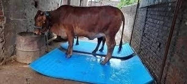 Krylon Mat for Cows, Buffalo, Bull, Rubber Mat for Animal Cow, Dog, Guinea Pig, Hamster, Miniature Pig Pet Mat