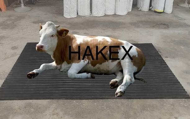 HAKEX COW MAT-Waterproof Rubber-Black31 (Mat 8*5 Feet) BPA Free For Horse- | Cow, Dog, Hamster, Guinea Pig, Miniature Pig Pet Mat