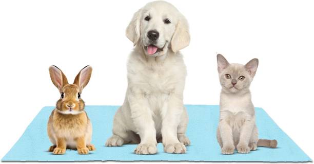 Newnik UP-L-SEAGREEN Dog, Cat, Rabbit Pet Mat