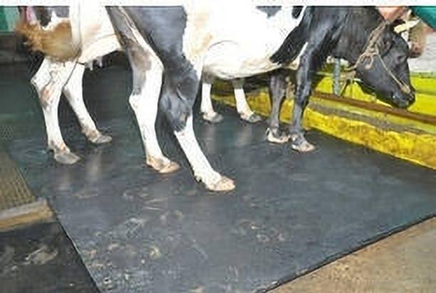 JINDAL PREMIUM Feeding Cowmat Black BPA Free Waterproof With Raised Edges Cow, Dog, Hamster, Guinea Pig, Miniature Pig Pet Mat