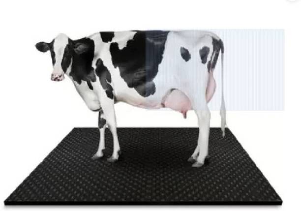 HAKEX BLACK MAT SIZE 8*5 Cow Pet Mat