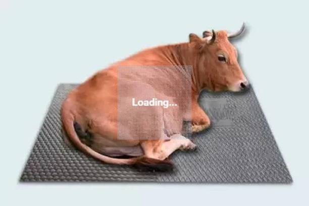 HAKEX black mat for cow ,bull and washable 8*5 feet Cow Pet Mat