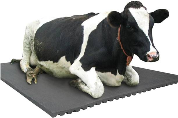 HARYANA JINDAL Cow Mat, Feeding Mat,Easy Clean,Waterproof, Raised Edges, Mat for Cows, Buffalo Cow, Dog, Hamster, Guinea Pig, Miniature Pig Pet Mat