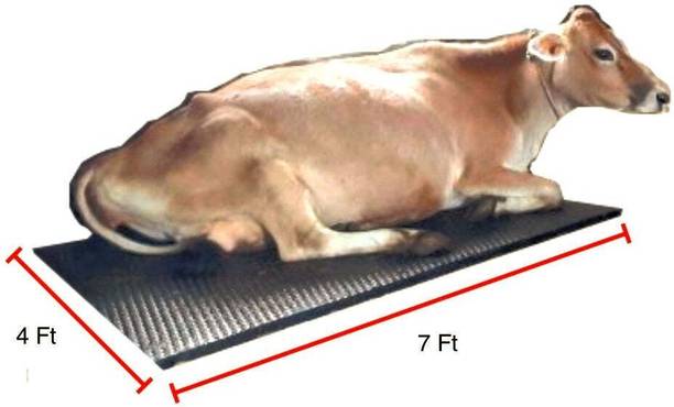 Ursus COW Mats for Dairy Cows Cow, Dog, Guinea Pig, Hamster, Miniature Pig Pet Mat