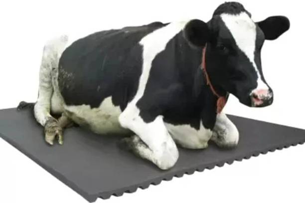 HAKEX Cow Mat, Feeding Mat, BPA Free, Easy Clean, Dishwasher Safe, Waterproof Cow, Hamster Pet Mat