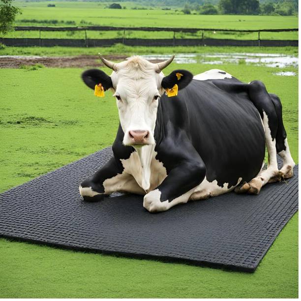 Agrima A_COWMATBLK Cow Pet Mat